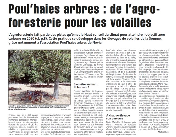 article Poul'Haies Arbres Marie Paule Bertrandie