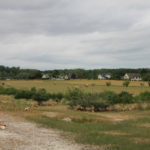 Parcours arboré volailles - Associer agroforesterie et élevage