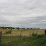 Formation - Associer agroforesterie et élevage