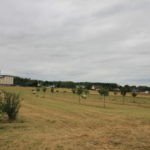 Plantations - Associer agroforesterie et élevage