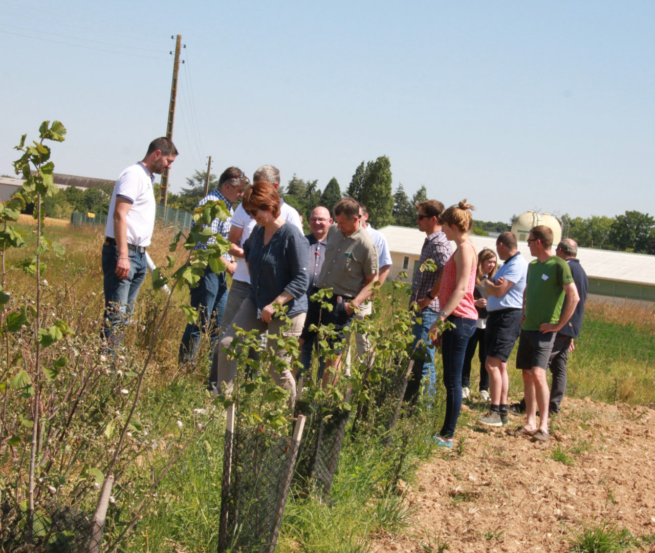 formation - association Poul'Haies Arbres