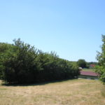 Haies - Associer agoforesterie et élevage