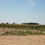 Formation - Associer agroforesterie et élevage