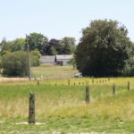 Formation - Associer agroforesterie et élevage