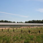 Formation - Associer agroforesterie et élevage