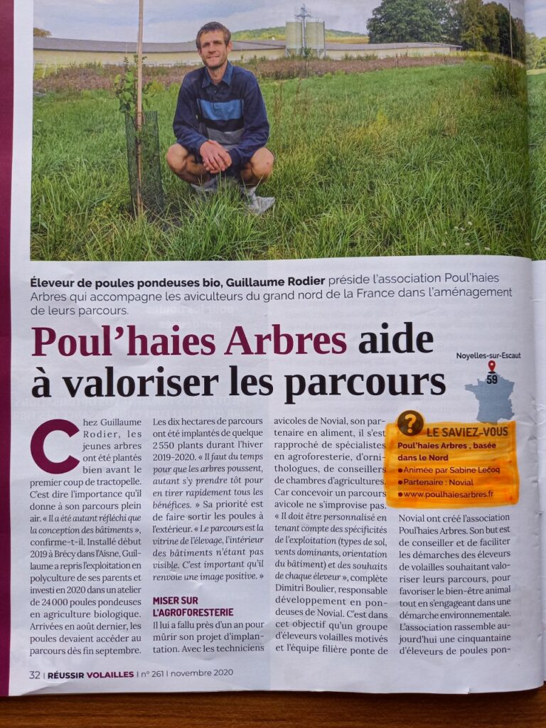 Article réussi volailles