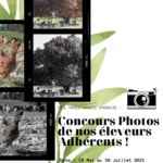 concours photo