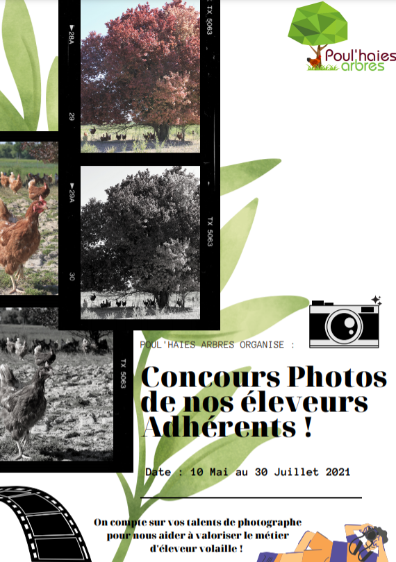 concours photo