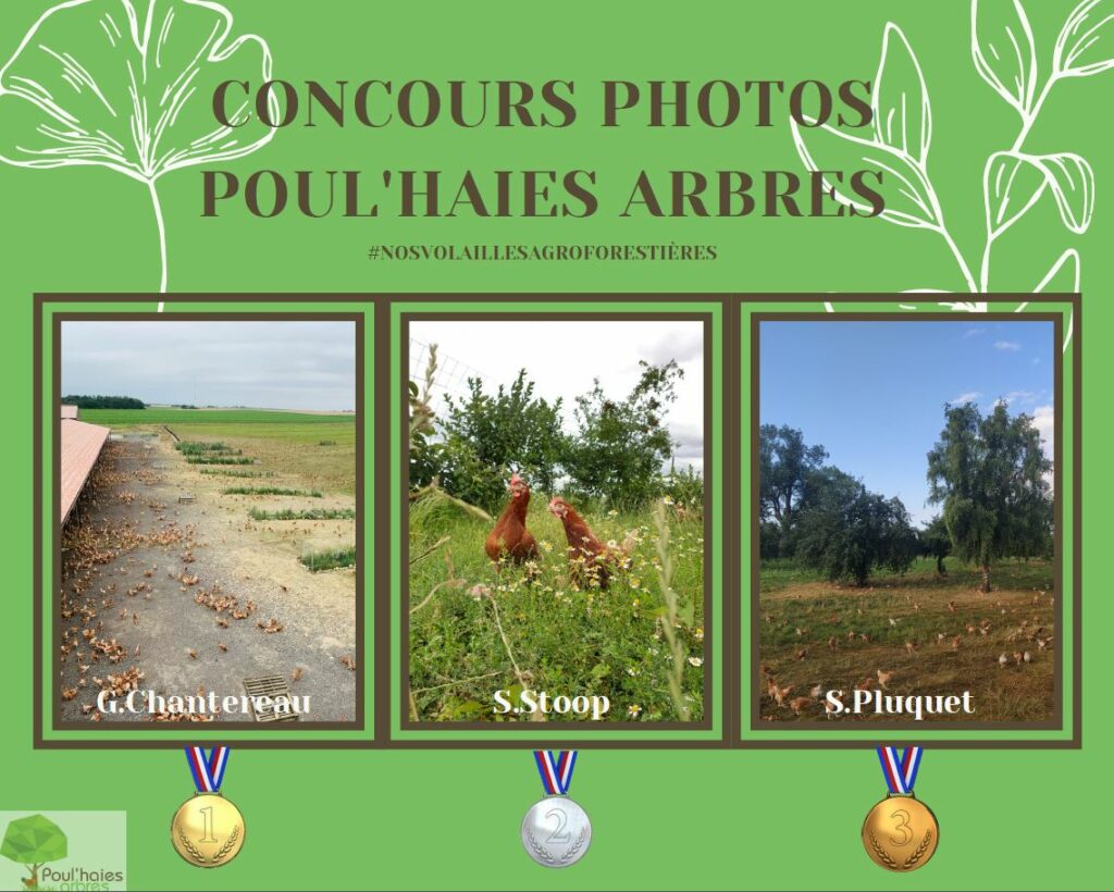 Résultat concours photos 2021