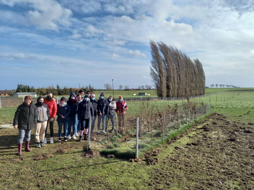 poules pondeuses agroforesterie étudiant