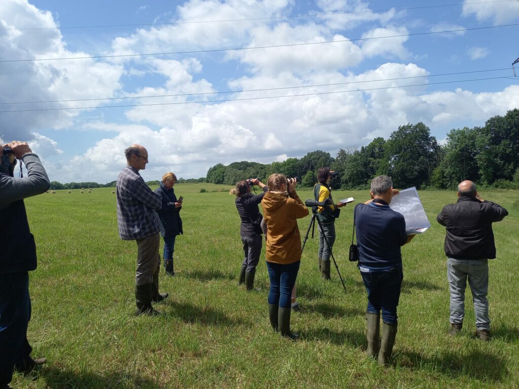 formation identification oiseaux