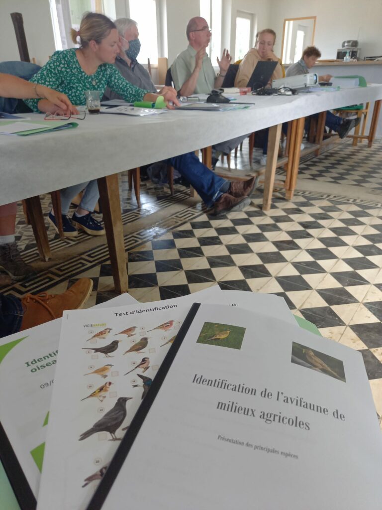 formation identification oiseaux